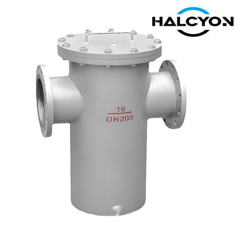 Basket Type Strainer